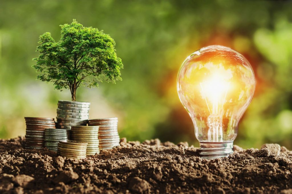 Agriculture Investments